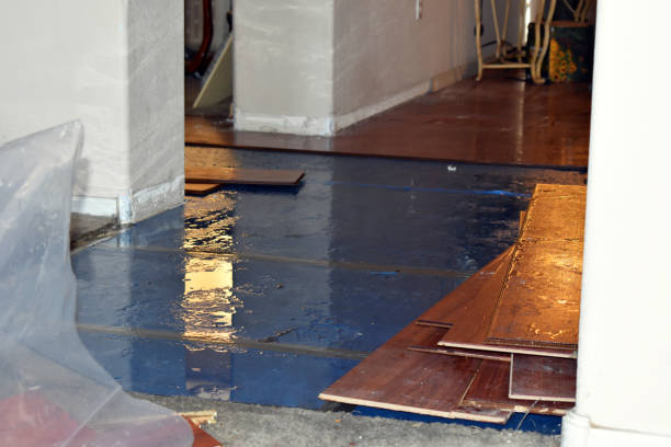 Professional Burst Pipe Cleanup technician working in Aledo, TX